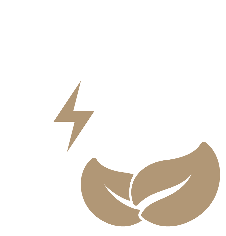 2Battery With Leaves